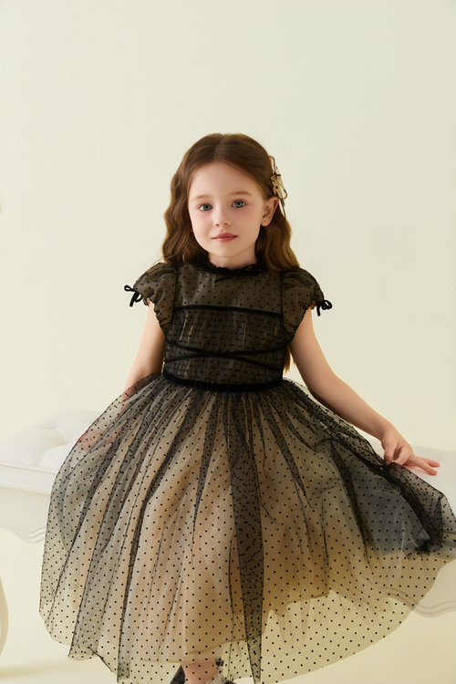 Black Lace Short Sleeve Dotted Mesh Dress – Petite Marguerite