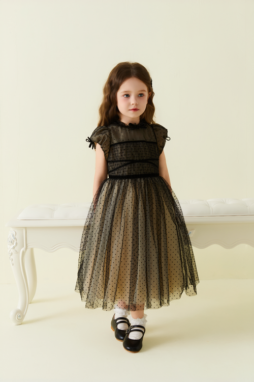 Black Lace Short Sleeve Dotted Mesh Dress