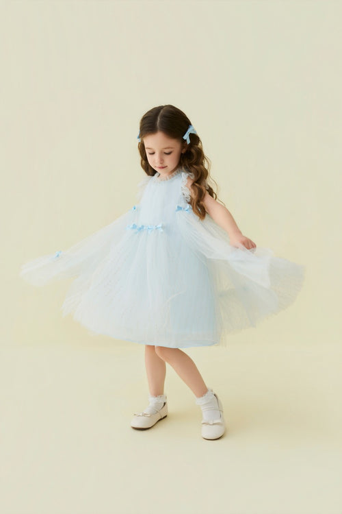 Blue Crystal Bow Tulle Dress