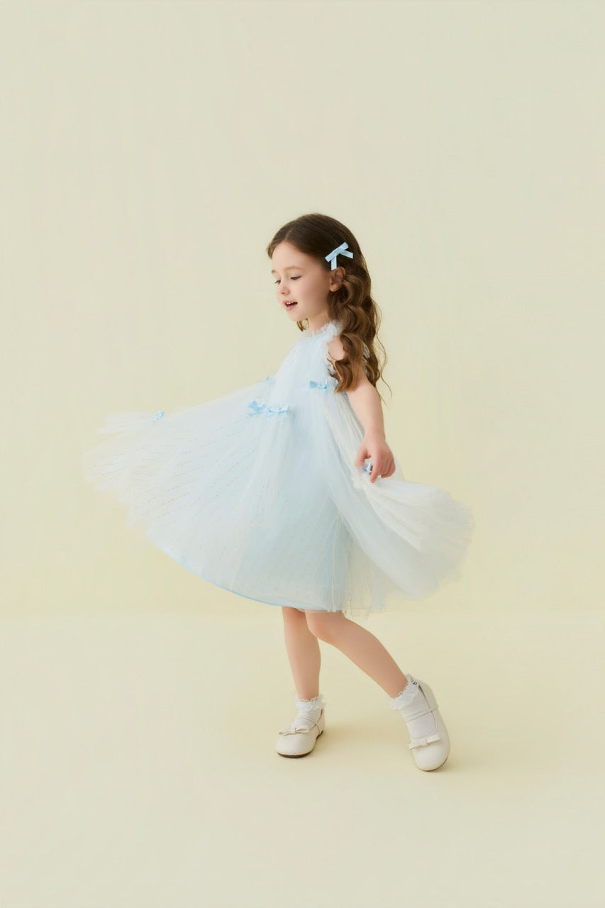 Blue Crystal Bow Tulle Dress