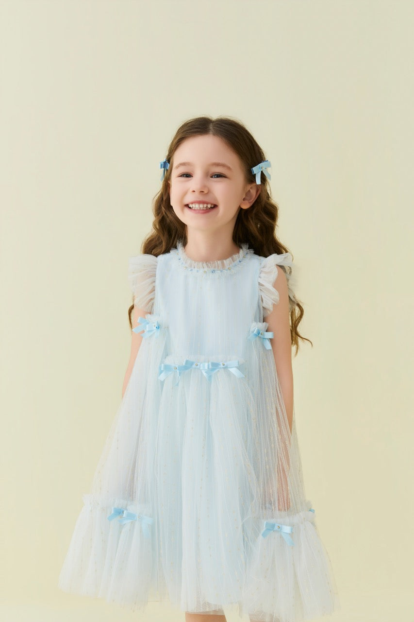Blue Crystal Bow Tulle Dress